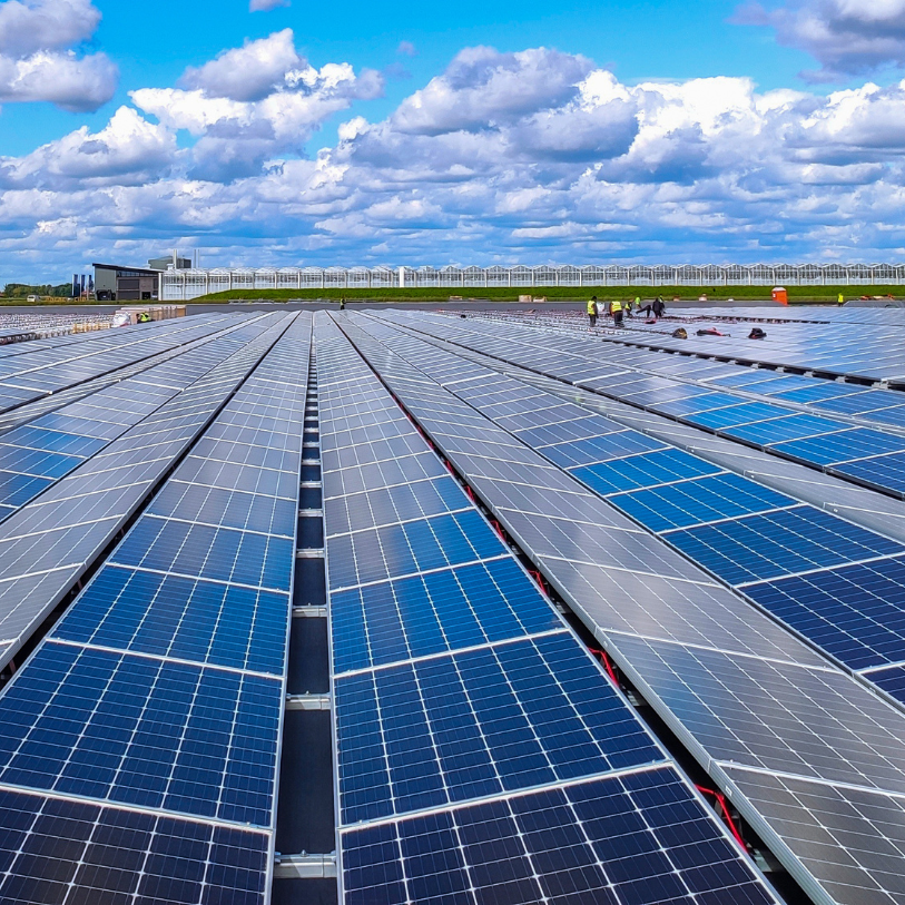 Solar panels at a solar farm being maintained