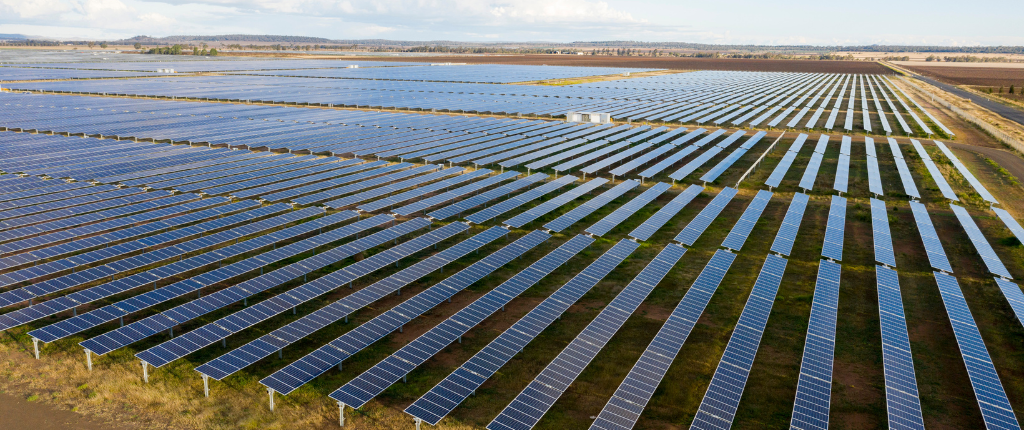solar panels on a solar farm